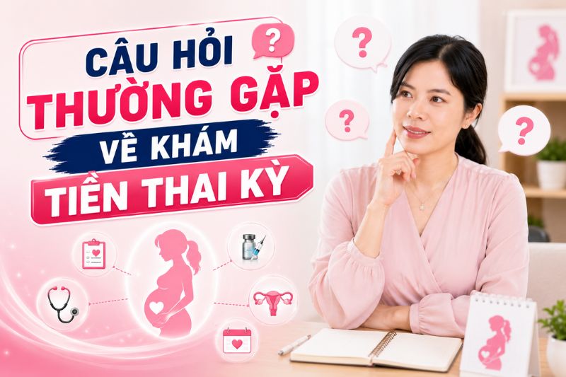 câu hỏi thuognwf gặp